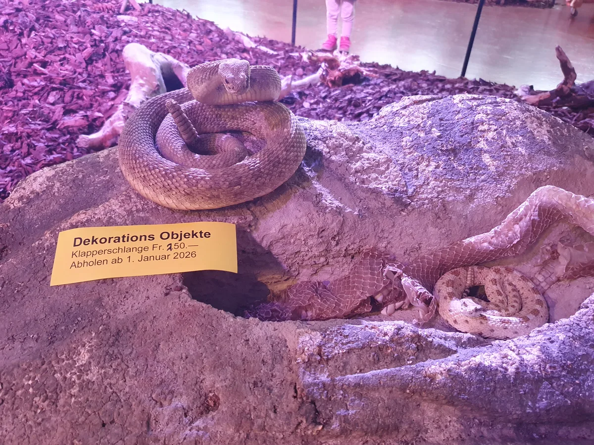 Impressionen vom Indian Land Museum in Gossau